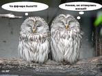 BWJUvbRNhHNJDXffP8UIPAL5CPoegqd69cUMqFdErnIg