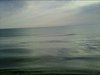 x_f50de2b1