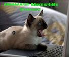 PeIyYP5MtKx5ROvfAho4xg0ByqflTvqWAXJBnwxNW3kA