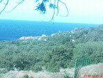DSC00199
