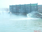 DSC00266