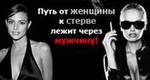 Цитата