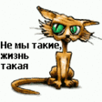 Жизнь!