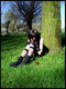 _6__by_chemicalroxy