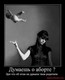 dem_pravdu.ru (107)