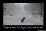 x_4a31ce33