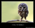 o775kKaitvirkDiHkvKfA28NBLWdDTbJogg6w8aq9A