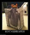219262_kote-shikaren