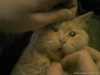 P130210_20.13_[01]