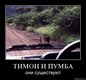 ноу комментс