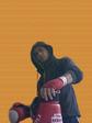 Boxer2