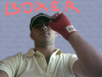Boxer1