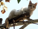 dsc02251