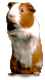 01 (3)