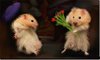 pro_lubov24