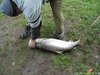 Камчатка 2006 рыбалка 5