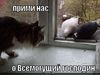 Хозяин