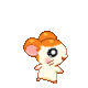 01 (1)
