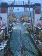 Камчатка 2006 море, рыбалка 2