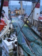 Камчатка 2006 море, рыбалка 1