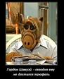 Гордон Шамуэй
