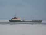 Камчатка 2007 море 3