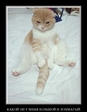 Ыыы))