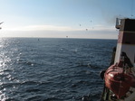 Камчатка 2006 море