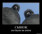 пора выйти из грибницы