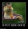 бобЁр!