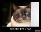  =(