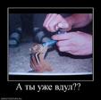 не бобёр