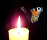0_1928f_2acb95f4_L