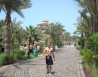 bauuss