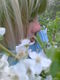 Image091