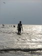 My Picture