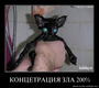Бойся Свет!!!)))