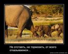 cueaaNLxVBSxpmC2V3rrJgRq4ARXHPXY9SdRFpuVvlg[1]