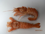 А это - Приморская медведка, к пиву, и вкуснее и больше мяса, чем у рака!)