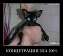 Бойся Свет!!!)))