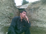 Shekil(233)