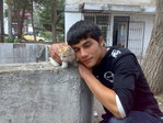 Толко я