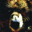 E80TheBear