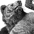 matador_And_Bear