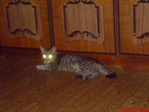 DSC00006