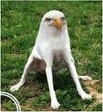 Орёл 4ох ногий