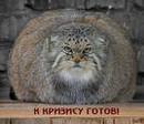 images (1)