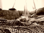 DSC02576