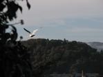 IMG_5611