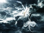 wallpapers_ru_050607_kod_dusha_po_imeni_k